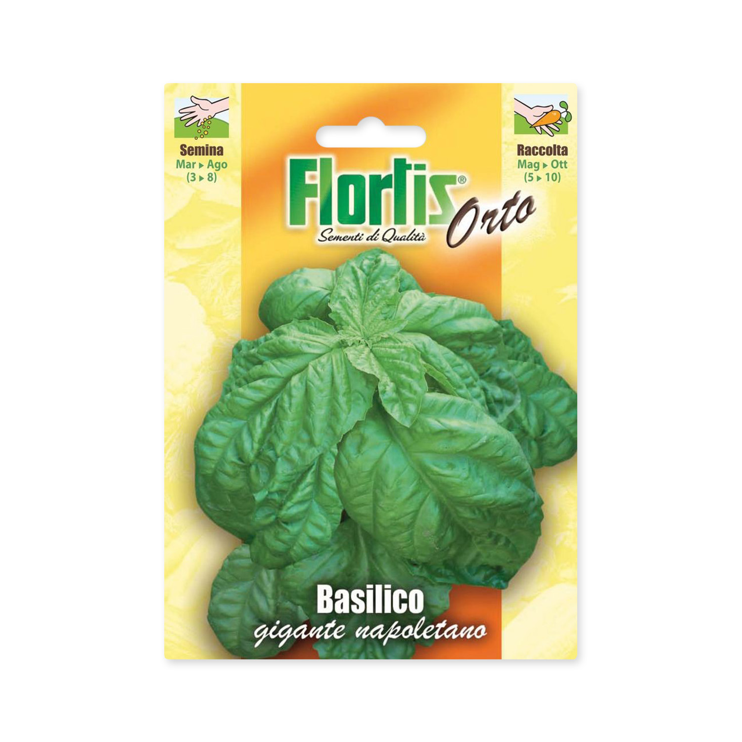 Flortis Napoletano Riesenbasilikum Saatgut (8g)