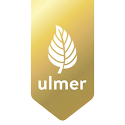 Ulmer